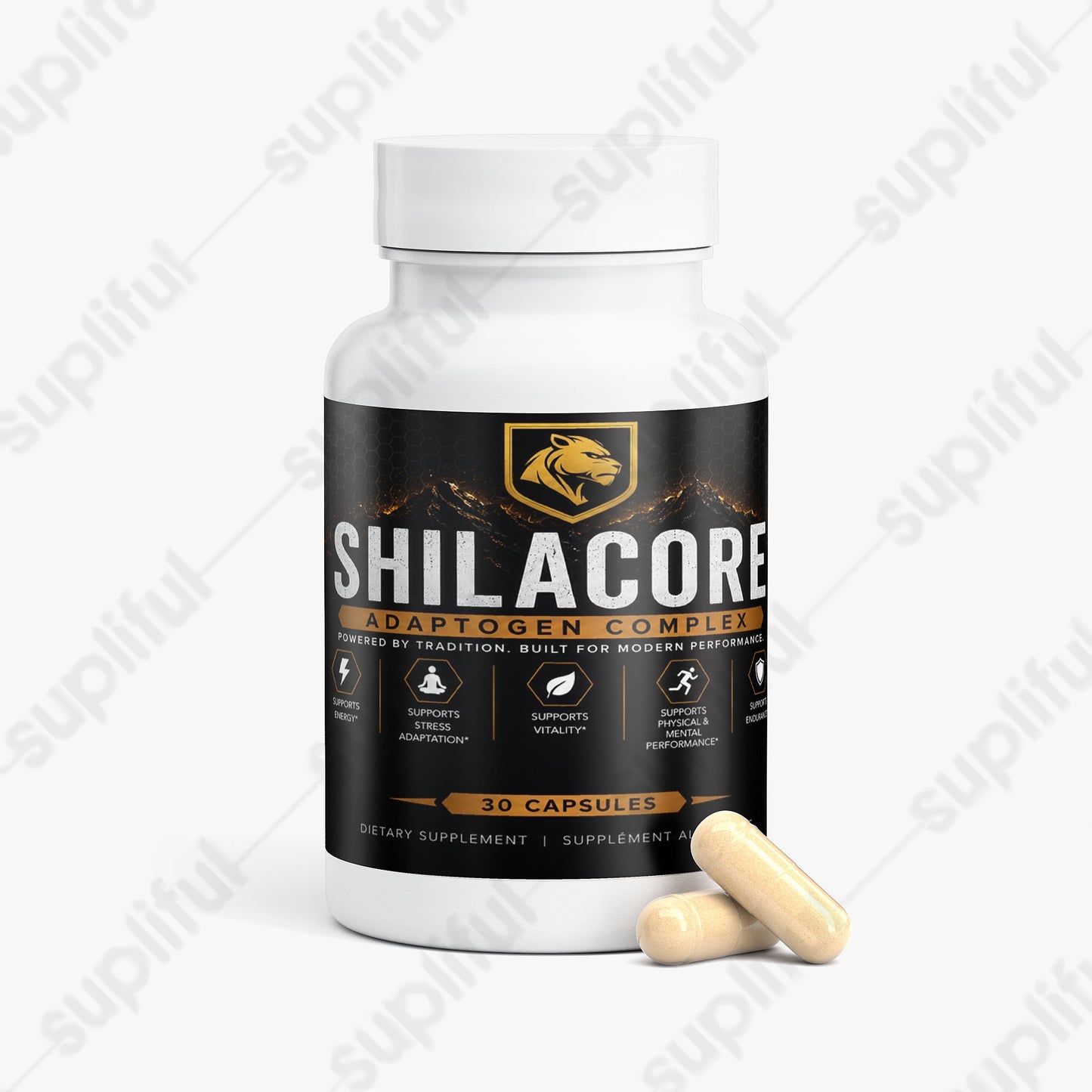 SHILACORE