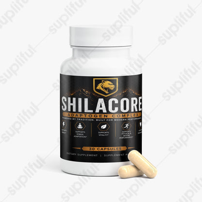 SHILACORE